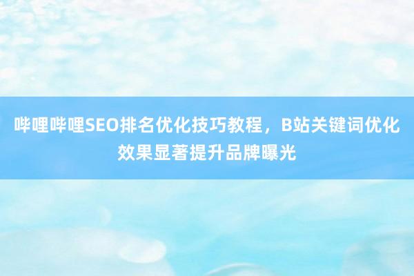 哔哩哔哩SEO排名优化技巧教程，B站关键词优化效果显著提升品牌曝光