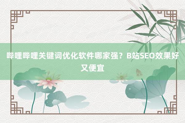 哔哩哔哩关键词优化软件哪家强？B站SEO效果好又便宜