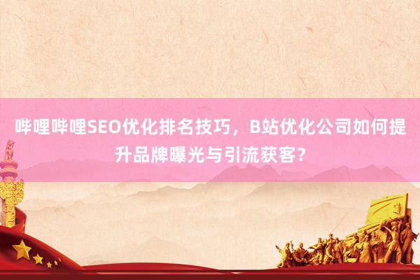 哔哩哔哩SEO优化排名技巧，B站优化公司如何提升品牌曝光与引流获客？