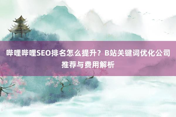 哔哩哔哩SEO排名怎么提升？B站关键词优化公司推荐与费用解析
