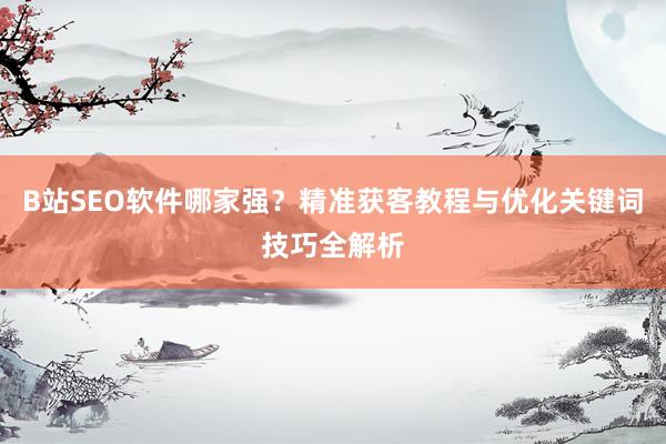 B站SEO软件哪家强？精准获客教程与优化关键词技巧全解析