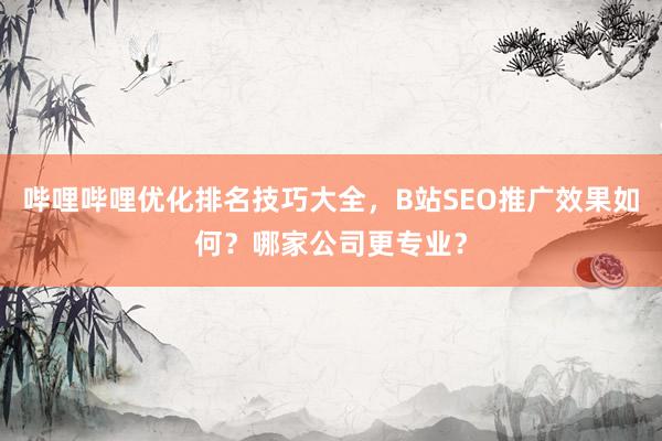 哔哩哔哩优化排名技巧大全，B站SEO推广效果如何？哪家公司更专业？