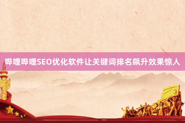 哔哩哔哩SEO优化软件让关键词排名飙升效果惊人