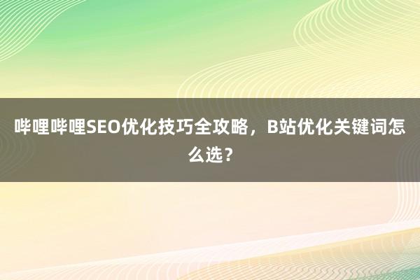 哔哩哔哩SEO优化技巧全攻略，B站优化关键词怎么选？