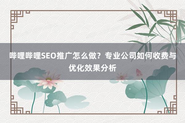 哔哩哔哩SEO推广怎么做？专业公司如何收费与优化效果分析