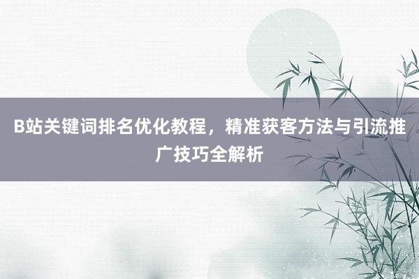 B站关键词排名优化教程，精准获客方法与引流推广技巧全解析