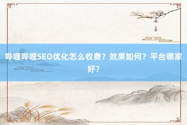 哔哩哔哩SEO优化怎么收费？效果如何？平台哪家好？