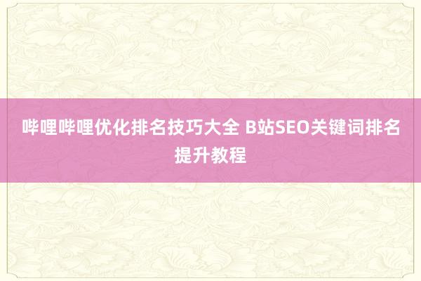 哔哩哔哩优化排名技巧大全 B站SEO关键词排名提升教程