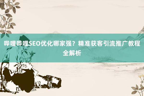 哔哩哔哩SEO优化哪家强？精准获客引流推广教程全解析