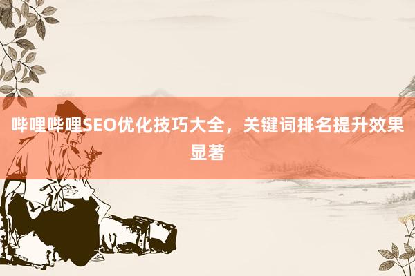 哔哩哔哩SEO优化技巧大全，关键词排名提升效果显著