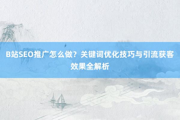 B站SEO推广怎么做？关键词优化技巧与引流获客效果全解析
