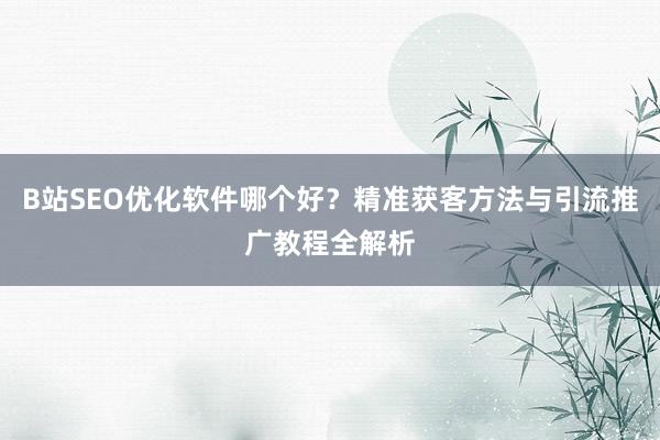 B站SEO优化软件哪个好？精准获客方法与引流推广教程全解析