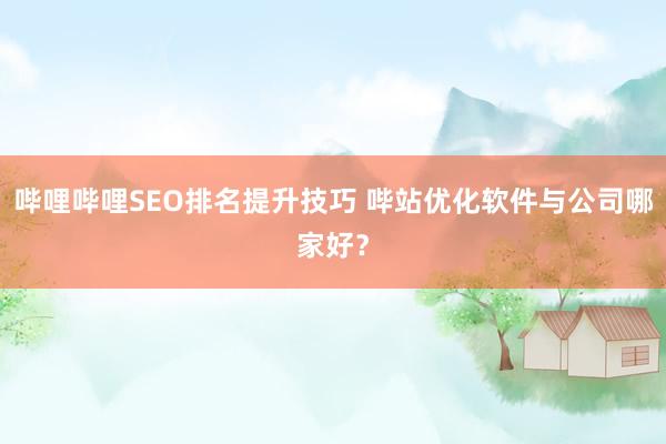 哔哩哔哩SEO排名提升技巧 哔站优化软件与公司哪家好？