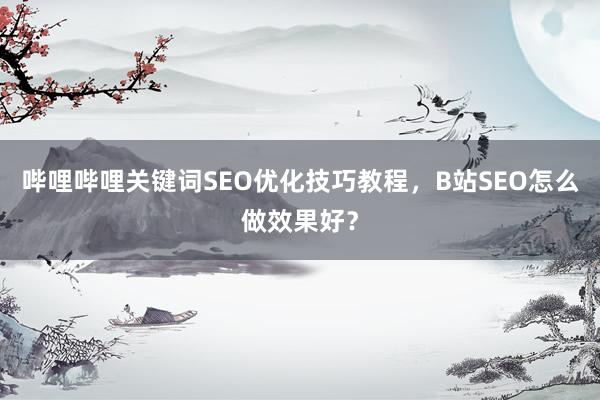 哔哩哔哩关键词SEO优化技巧教程，B站SEO怎么做效果好？