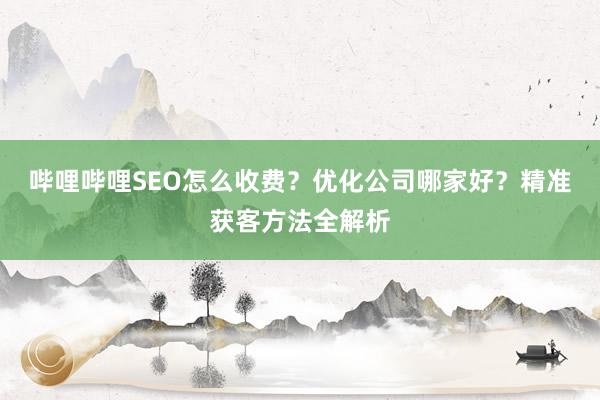 哔哩哔哩SEO怎么收费？优化公司哪家好？精准获客方法全解析