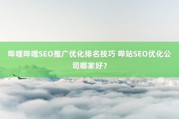 哔哩哔哩SEO推广优化排名技巧 哔站SEO优化公司哪家好？
