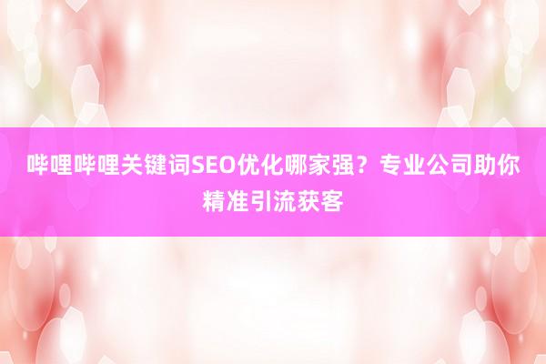 哔哩哔哩关键词SEO优化哪家强？专业公司助你精准引流获客