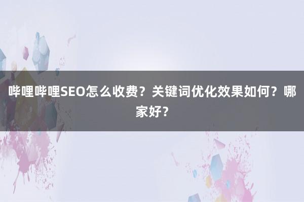 哔哩哔哩SEO怎么收费？关键词优化效果如何？哪家好？