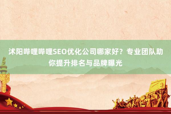 沭阳哔哩哔哩SEO优化公司哪家好？专业团队助你提升排名与品牌曝光