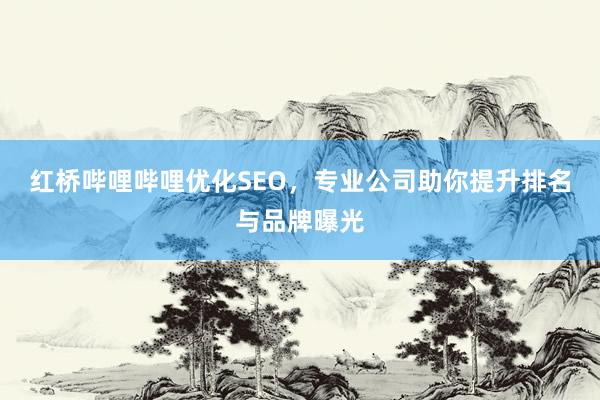 红桥哔哩哔哩优化SEO，专业公司助你提升排名与品牌曝光