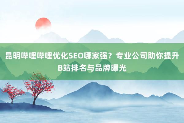 昆明哔哩哔哩优化SEO哪家强？专业公司助你提升B站排名与品牌曝光