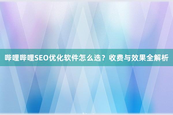 哔哩哔哩SEO优化软件怎么选？收费与效果全解析