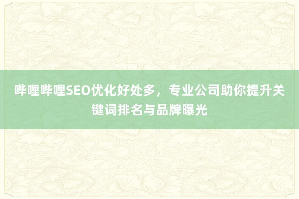 哔哩哔哩SEO优化好处多，专业公司助你提升关键词排名与品牌曝光