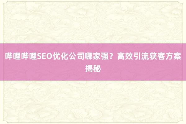 哔哩哔哩SEO优化公司哪家强？高效引流获客方案揭秘