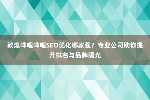 敦煌哔哩哔哩SEO优化哪家强？专业公司助你提升排名与品牌曝光