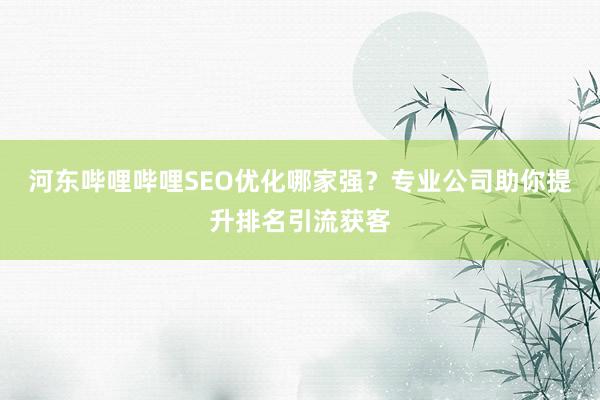 河东哔哩哔哩SEO优化哪家强？专业公司助你提升排名引流获客