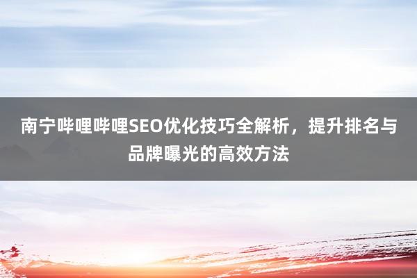 南宁哔哩哔哩SEO优化技巧全解析，提升排名与品牌曝光的高效方法
