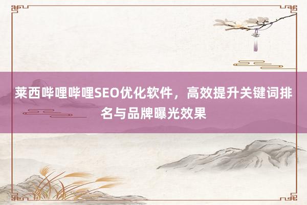 莱西哔哩哔哩SEO优化软件，高效提升关键词排名与品牌曝光效果
