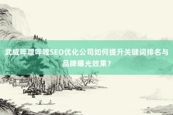 武威哔哩哔哩SEO优化公司如何提升关键词排名与品牌曝光效果？