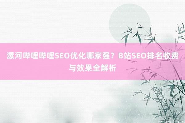 漯河哔哩哔哩SEO优化哪家强？B站SEO排名收费与效果全解析