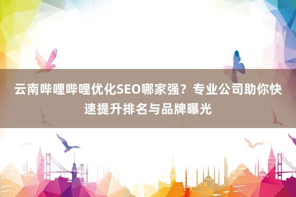 云南哔哩哔哩优化SEO哪家强？专业公司助你快速提升排名与品牌曝光