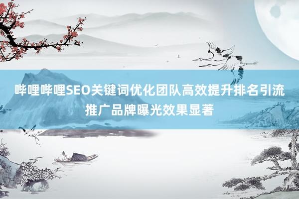 哔哩哔哩SEO关键词优化团队高效提升排名引流推广品牌曝光效果显著