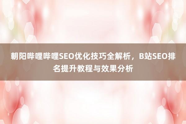 朝阳哔哩哔哩SEO优化技巧全解析，B站SEO排名提升教程与效果分析