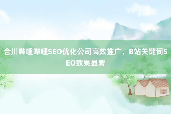 合川哔哩哔哩SEO优化公司高效推广，B站关键词SEO效果显著