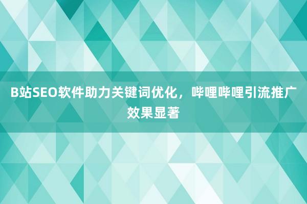 B站SEO软件助力关键词优化，哔哩哔哩引流推广效果显著