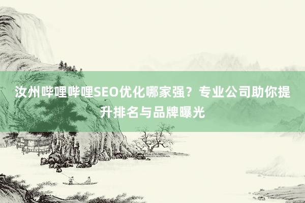 汝州哔哩哔哩SEO优化哪家强？专业公司助你提升排名与品牌曝光