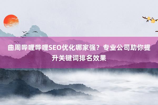 曲周哔哩哔哩SEO优化哪家强？专业公司助你提升关键词排名效果