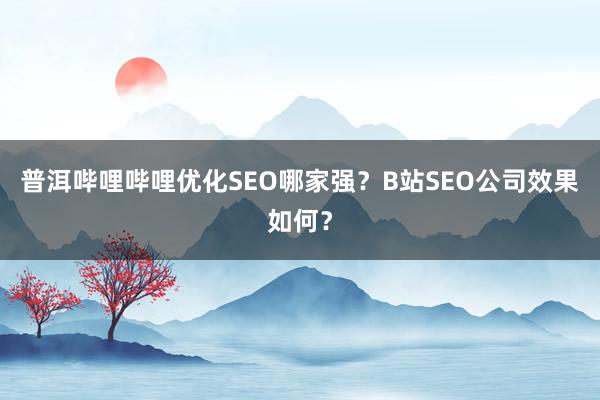 普洱哔哩哔哩优化SEO哪家强？B站SEO公司效果如何？