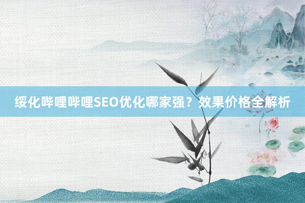 绥化哔哩哔哩SEO优化哪家强？效果价格全解析