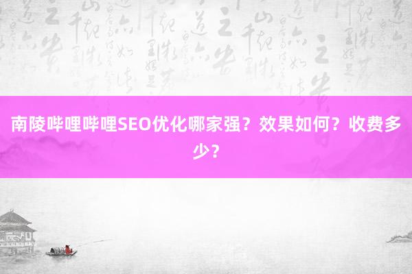南陵哔哩哔哩SEO优化哪家强？效果如何？收费多少？