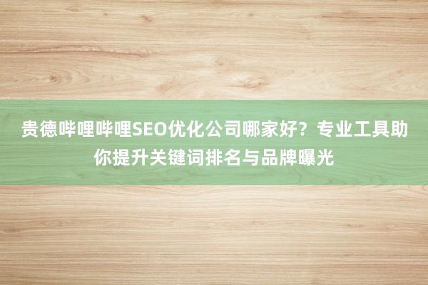 贵德哔哩哔哩SEO优化公司哪家好？专业工具助你提升关键词排名与品牌曝光
