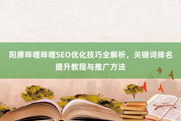 阳原哔哩哔哩SEO优化技巧全解析，关键词排名提升教程与推广方法