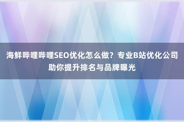 海鲜哔哩哔哩SEO优化怎么做？专业B站优化公司助你提升排名与品牌曝光