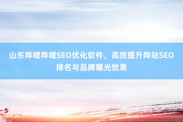 山东哔哩哔哩SEO优化软件，高效提升哔站SEO排名与品牌曝光效果