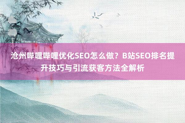 沧州哔哩哔哩优化SEO怎么做？B站SEO排名提升技巧与引流获客方法全解析