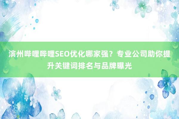 滨州哔哩哔哩SEO优化哪家强？专业公司助你提升关键词排名与品牌曝光